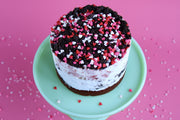 Learn How to Make Ice Cream Cake (V-Day Edition)